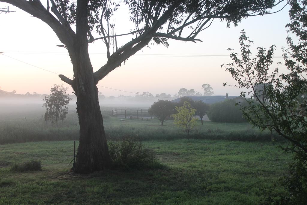 Yangoura VIC Kawana Tourism