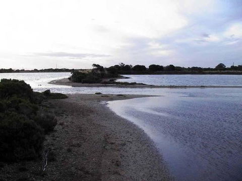 Absolute Waterfront - Kawana Tourism 1