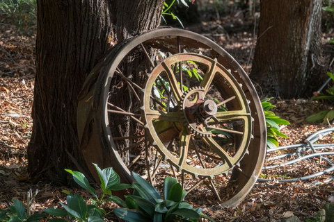 Acacia Hills Retreat - Kawana Tourism 2