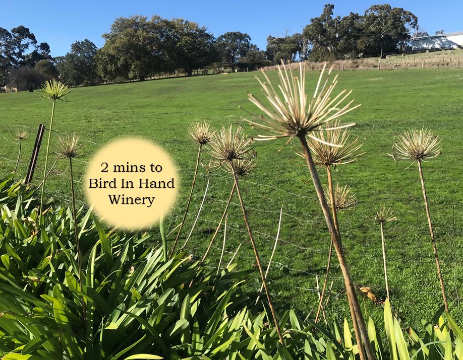 Woodside SA Kawana Tourism