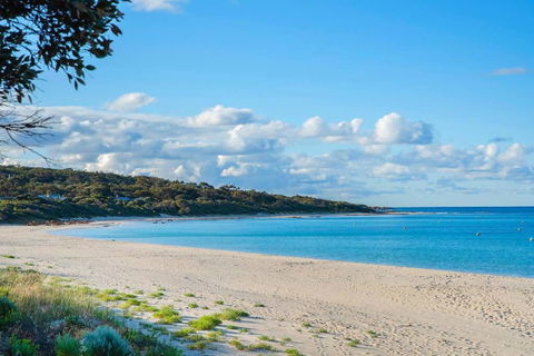 Eagle Bay Summerhaus - Kawana Tourism 1