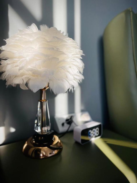 Equitice Spring Moonlight Villa - Kawana Tourism 1