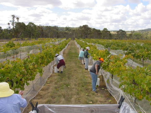 Fergies Hill Spa Cottage @ Granite Ridge Wines - Kawana Tourism 2