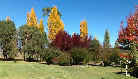 Glen Waverly Farmstay - Kawana Tourism 3
