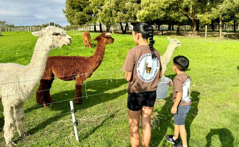 GORGE Chocolates Farmhouse - Kawana Tourism 4