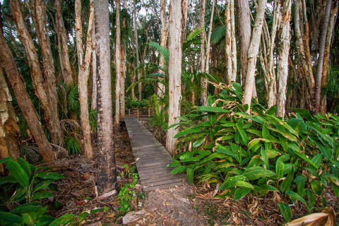 Agnes Palms Accommodation - Kawana Tourism 0