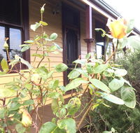 Albion Cottage - Kawana Tourism