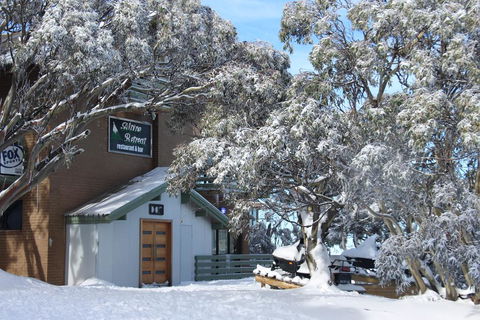 Alpine Retreat Mt Buller - Kawana Tourism 0