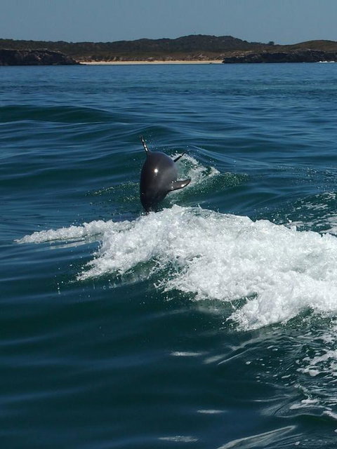 Anchorage Guest House And Self-contained Accommodation - Kawana Tourism 1