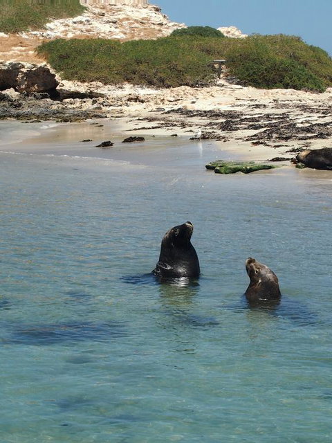 Anchorage Guest House And Self-contained Accommodation - Kawana Tourism 3