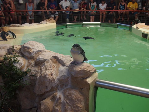 Anchorage Guest House And Self-contained Accommodation - Kawana Tourism 2