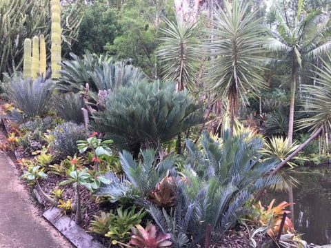 Ancient Gardens Guesthouse & Botanical Gardens - Kawana Tourism 2