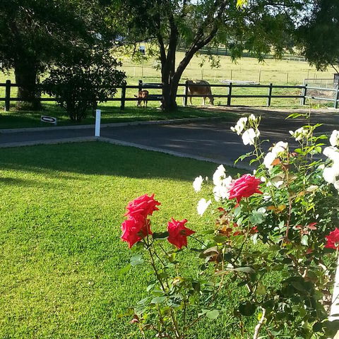 Appin Homestay B & B - Kawana Tourism 3
