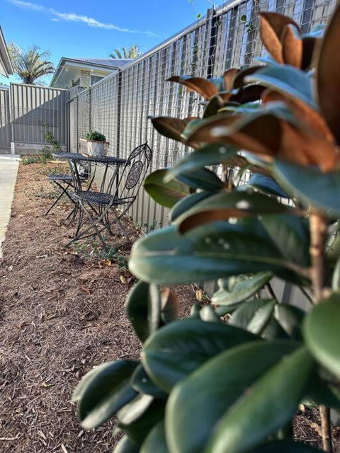 Magnolia Little Gem - Kawana Tourism 0