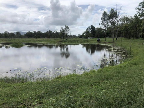 Makowata Farm By Tiny Away - Kawana Tourism 2