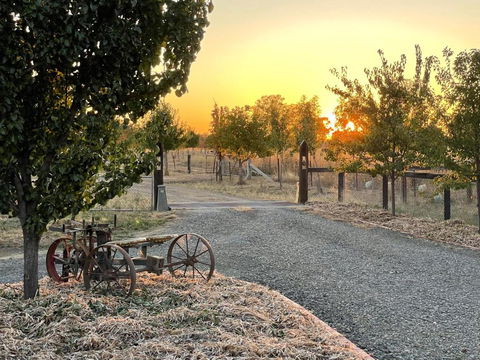 Maple Lane Farm Stay - Kawana Tourism 0