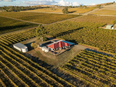 McGill Vineyard Barossa - Kawana Tourism 0