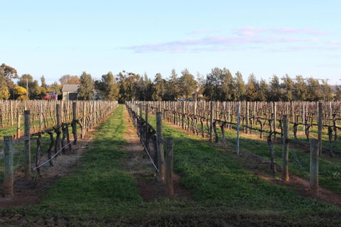 Milawa Vineyard Views - Guesthouse 1 - Kawana Tourism 2