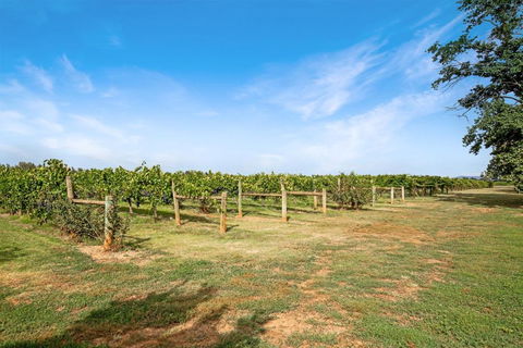 Milawa Vineyard Views - Guesthouse 2 - Kawana Tourism 0