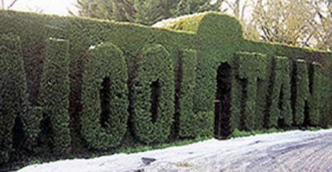 Mooltan House - Kawana Tourism 1