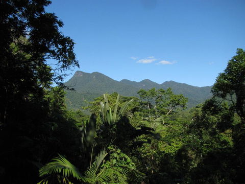 Mossman Gorge Bed And Breakfast - Kawana Tourism 0