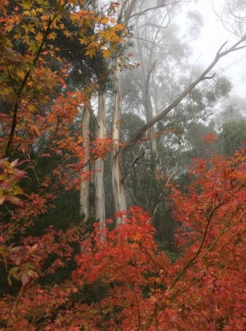 Olinda Enchanted Tower Spa Gas Log Fire And Netflix - Kawana Tourism 2