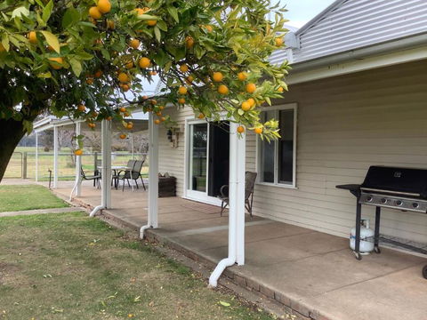 Orange Tree Cottage - Kawana Tourism 0