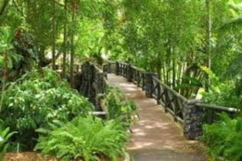 Paddington Pad With Back Deck And Free Car Space Close To Suncorp - Kawana Tourism 2