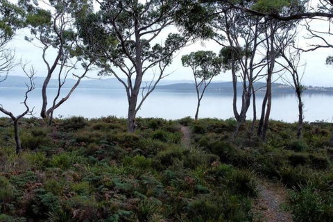 Periwinkle At Great Bay - Kawana Tourism 3