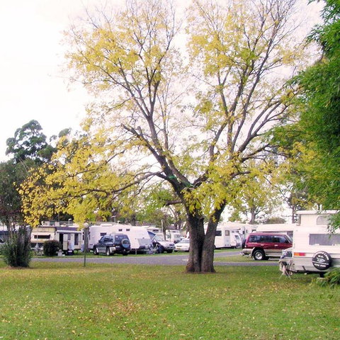 Poplar Tourist Park - Kawana Tourism 2