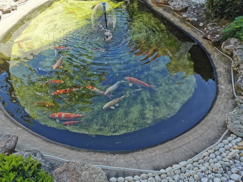 Attached Self Service Waterfront Whole Villa - Sydney - Kawana Tourism 2