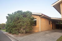 Bangalay Ulladulla