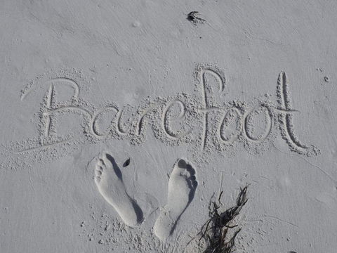 Barefoot Beach House - Kawana Tourism 0