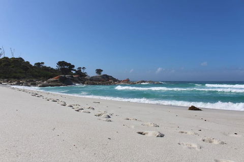 Barefoot Beach House - Kawana Tourism 1