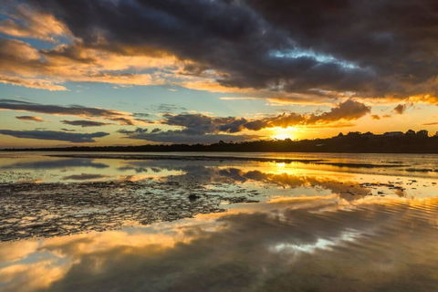 Beachouse - Kawana Tourism 1