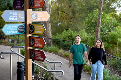 Roar And Snore - Kawana Tourism 2