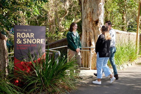 Roar And Snore - Kawana Tourism 1