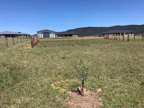 Rosehill Vines - Kawana Tourism 3