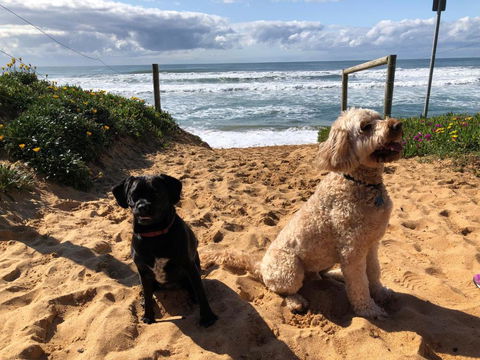 Sanctuary Retreat - Kawana Tourism 2