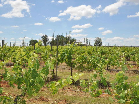 Beggars Bridge Vineyard Homestead W/ Pool + Wifi + Tennis + Vineyard - Kawana Tourism 2