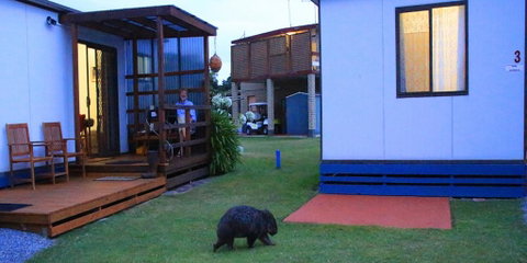 BIG4 Kelso Sands Holiday & Native Wildlife Park - Kawana Tourism 0