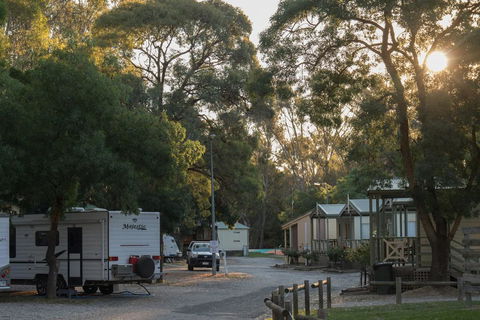 BIG4 Seymour Holiday Park - Kawana Tourism 0