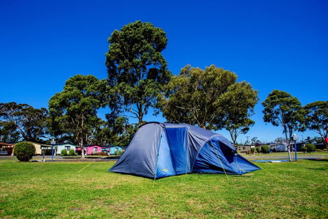 BIG4 Traralgon Park Lane Holiday Park - Kawana Tourism 2