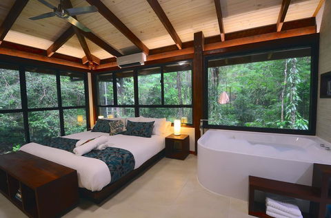 Black Palm Cape Tribulation - Kawana Tourism 3