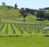 Blue House at Mountainside Wines - Kawana Tourism