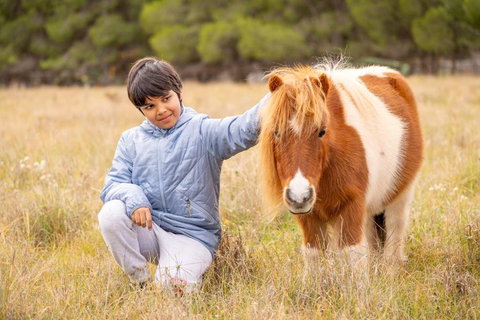 The Little Grove Retreat By Tiny Away - Kawana Tourism 3