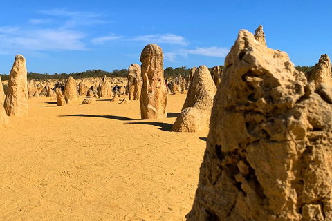 Pinnacles Desert (Private) Day Tour - Kawana Tourism 0