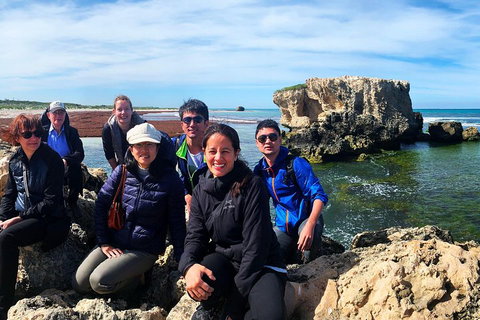 Pinnacles Desert (Private) Day Tour - Kawana Tourism 4
