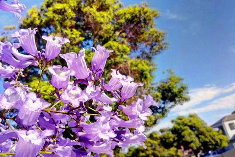 Big Perth (Private) Day Tour - Kawana Tourism 3