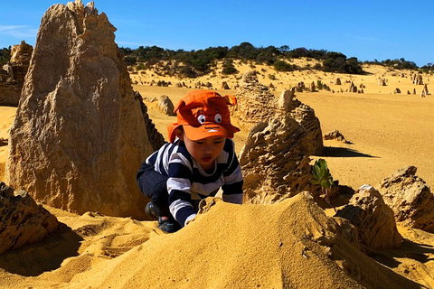 Perth Kids Explorer (Private) Day Tour - Kawana Tourism 3